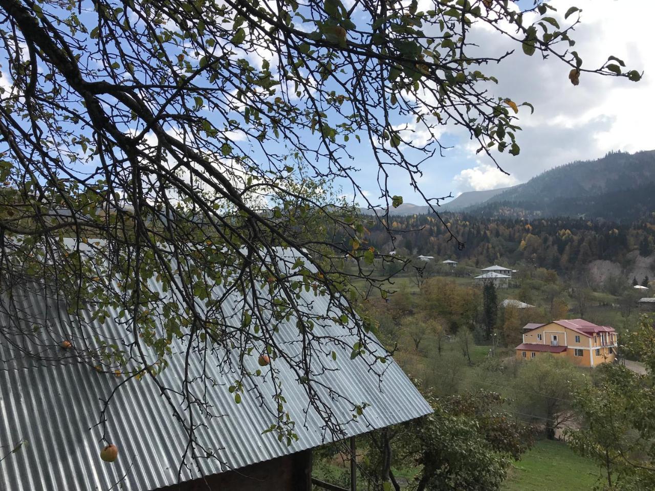 Danisparauli Guest House Luka מראה חיצוני תמונה