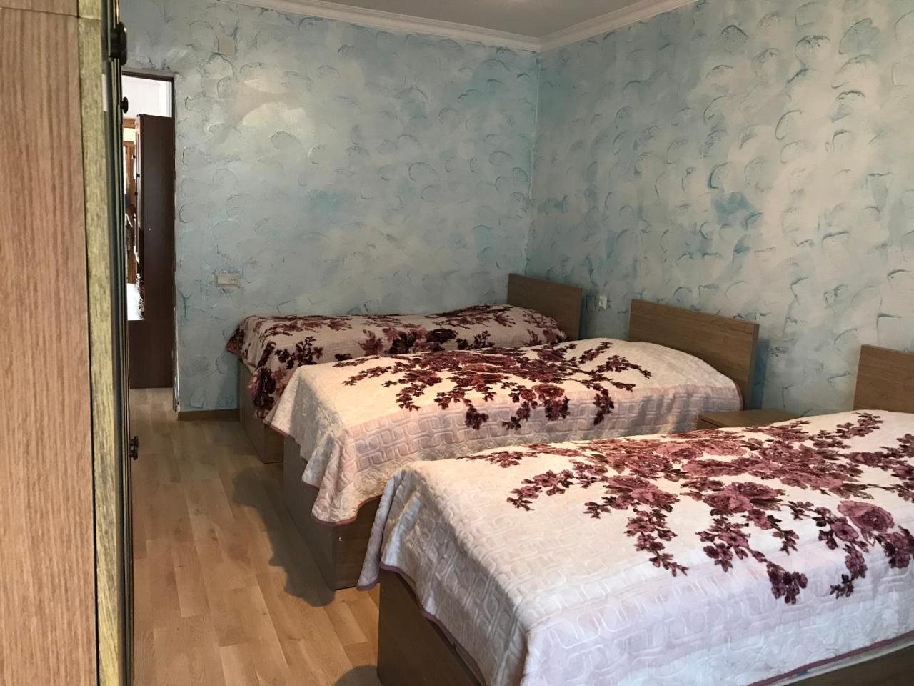 Danisparauli Guest House Luka מראה חיצוני תמונה