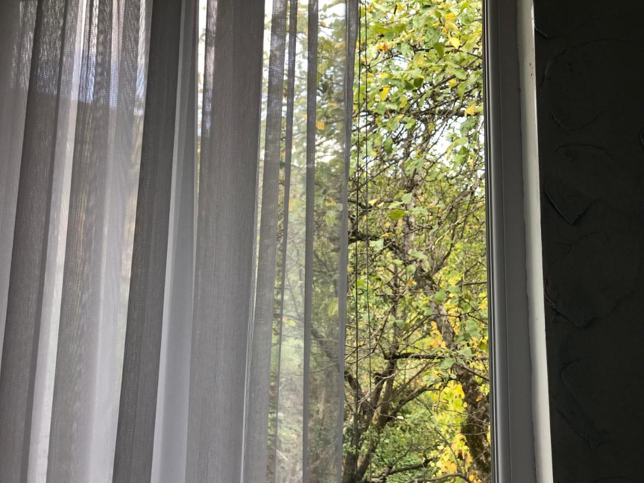 Danisparauli Guest House Luka מראה חיצוני תמונה