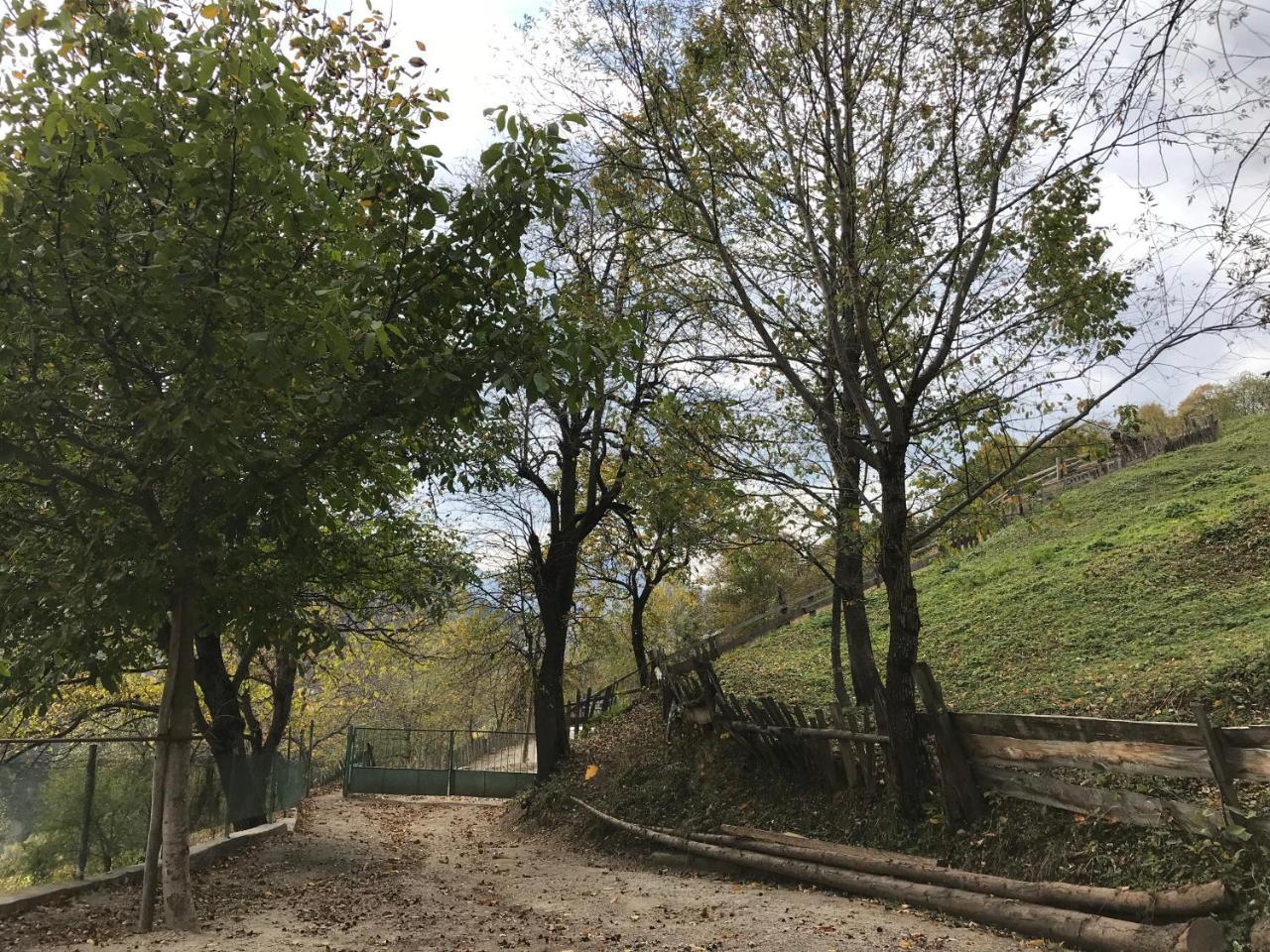 Danisparauli Guest House Luka מראה חיצוני תמונה