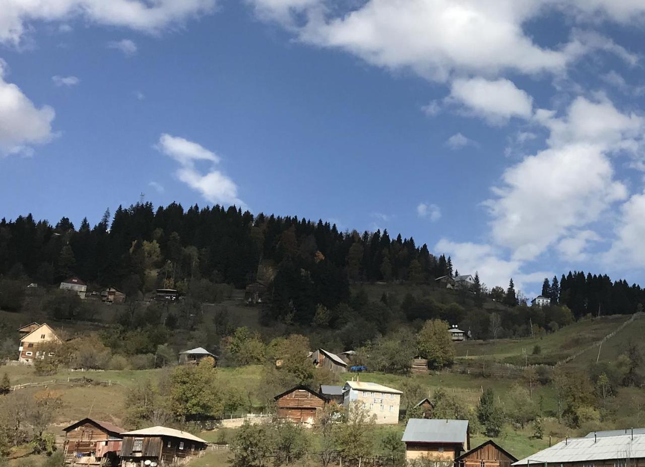 Danisparauli Guest House Luka מראה חיצוני תמונה